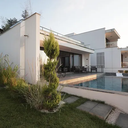 The House 33 *